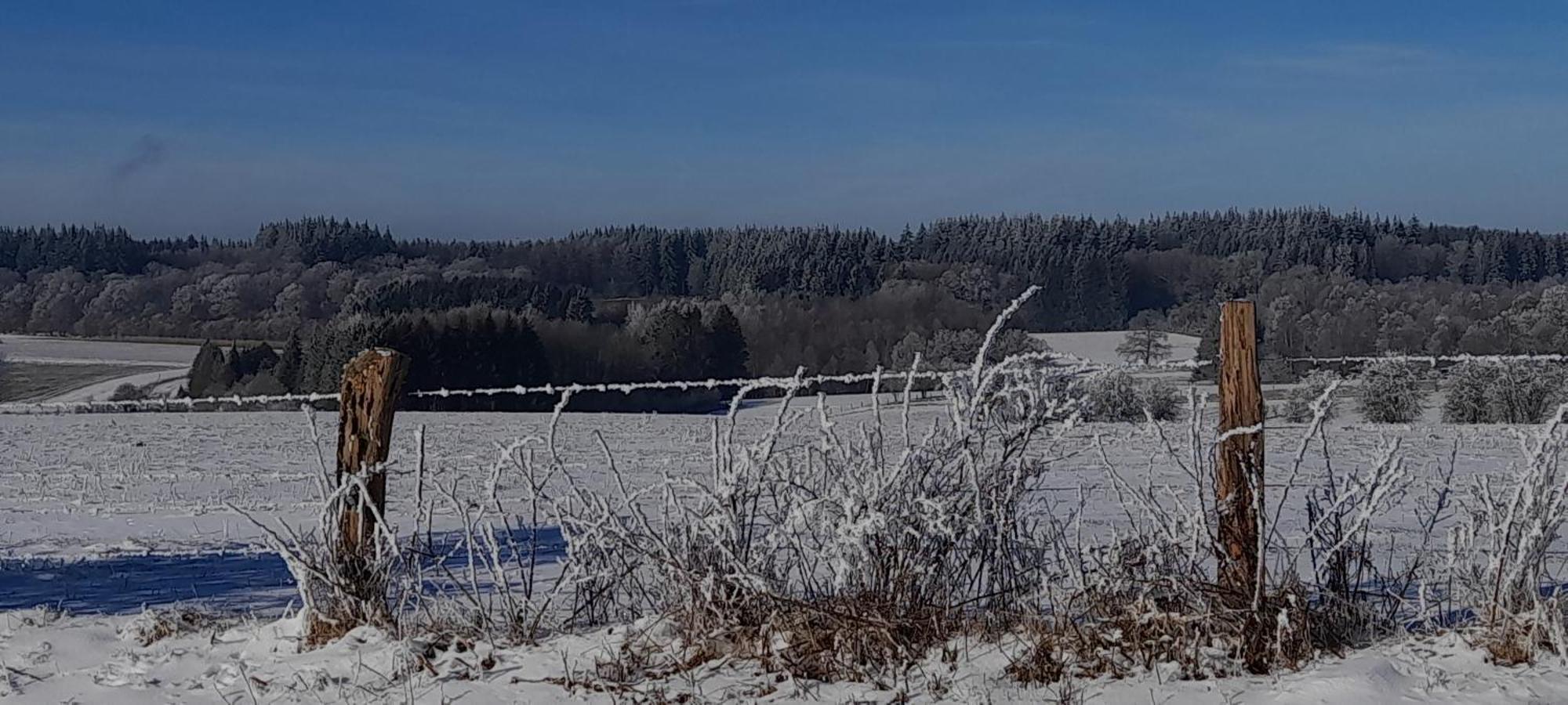 Le Sentier Des Lavandes Vresse-sur-Semois Exterior foto